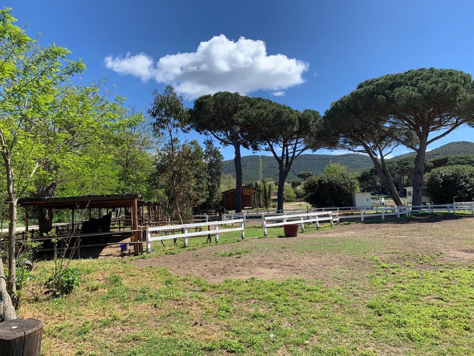 Ferienwohnung La Casa Delle Stelle Tirli Exterior foto